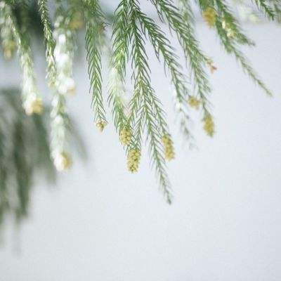 亚搏彩票app注册