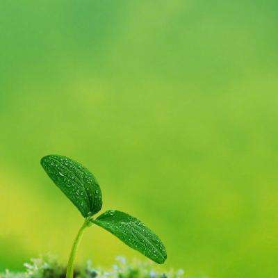 beat365手机版官方网站手机app下载