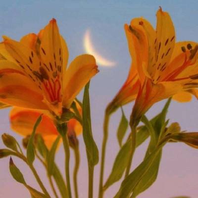 博鱼官方体育登录入口